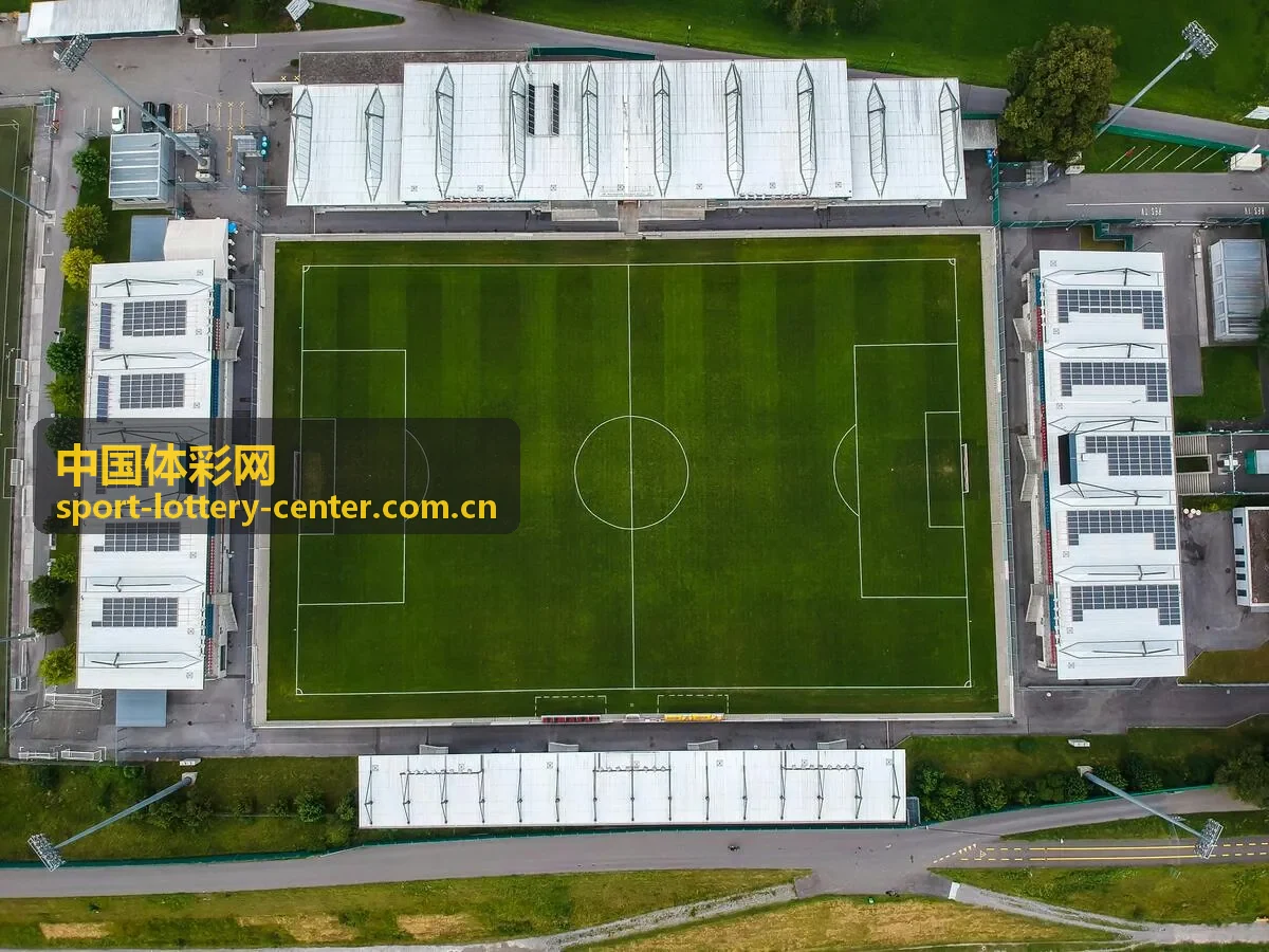 中国体彩网开奖信息速递数据展示面板