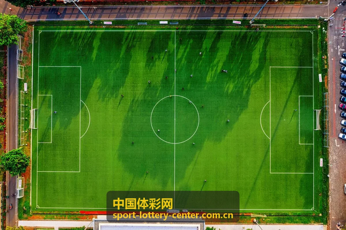 中国体彩网图表数据中心封面图